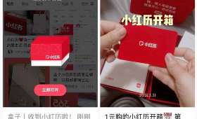 抖音与亚马逊电商，双平台运营策略的探讨