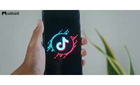 揭秘创业项目类型，从传统到创新，打造你的成功之路