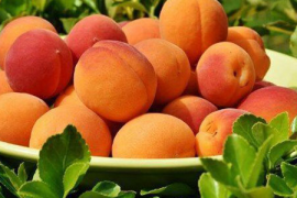 短剧虐,情感深处的触碰与升华