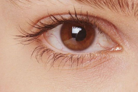 如何通过饮食调理缓解眼睛飞蚊症？