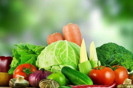 儿童健康险,守护宝贝健康的智慧之选