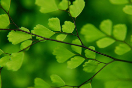 如何缓解手机眼症状,拯救你的眼神光彩
