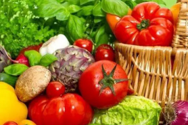 圣斗士星矢欧米伽50,传承与勇气的史诗篇章