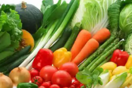 食品健康证查询，如何快速获取与核实您的食品行业从业者健康证明？