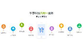 宠物自由职业，解锁宠物新生活与新机遇的独特方式